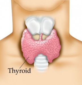 thyroid11